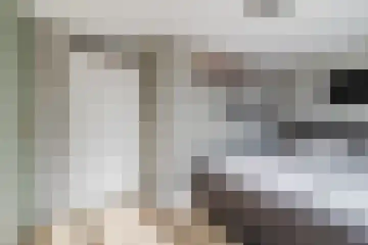 Gorterlaan 12 Bergschenhoek thumbnail 19