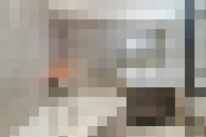 Gorterlaan 12 Bergschenhoek thumbnail 21
