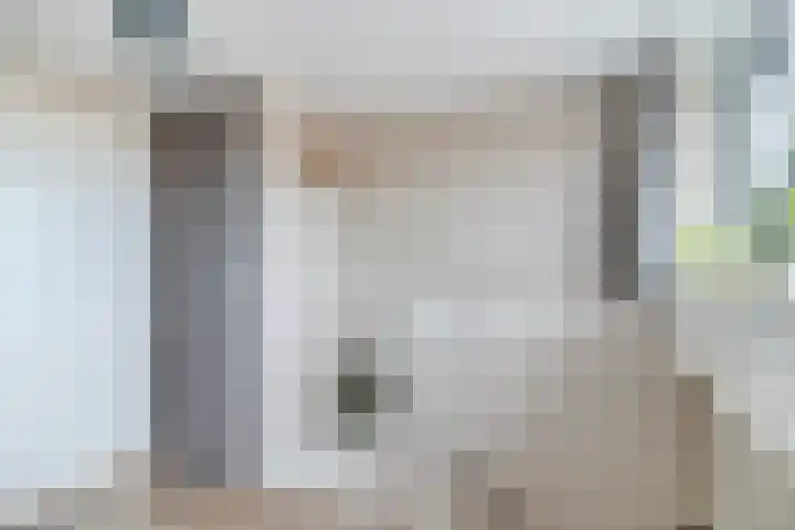 Gorterlaan 12 Bergschenhoek thumbnail 27