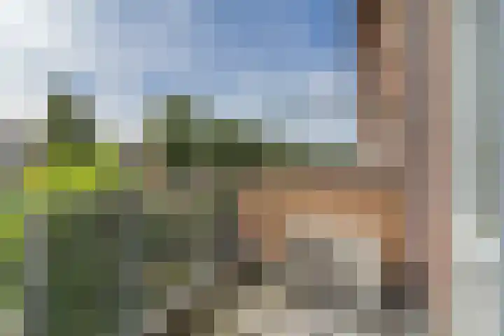 Gorterlaan 12 Bergschenhoek thumbnail 28