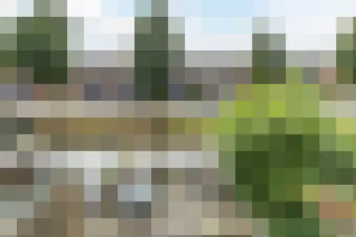 Gorterlaan 12 Bergschenhoek thumbnail 30