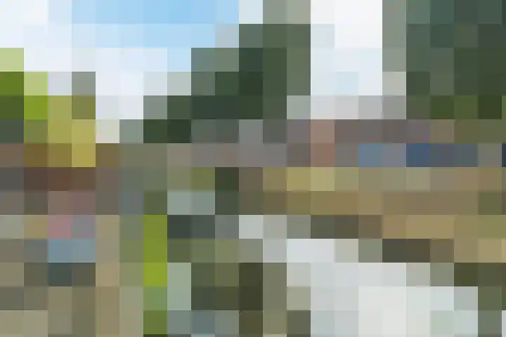 Gorterlaan 12 Bergschenhoek thumbnail 35