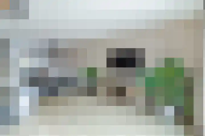 Gorterlaan 12 Bergschenhoek thumbnail 5