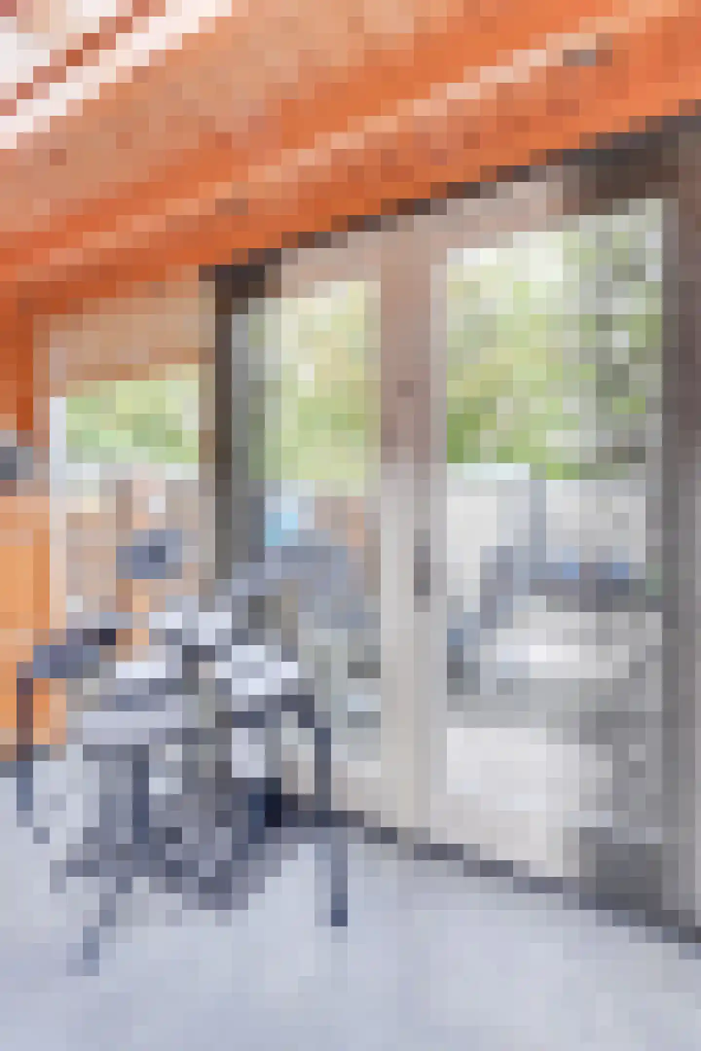 Gorterlaan 17 Heerhugowaard thumbnail 18