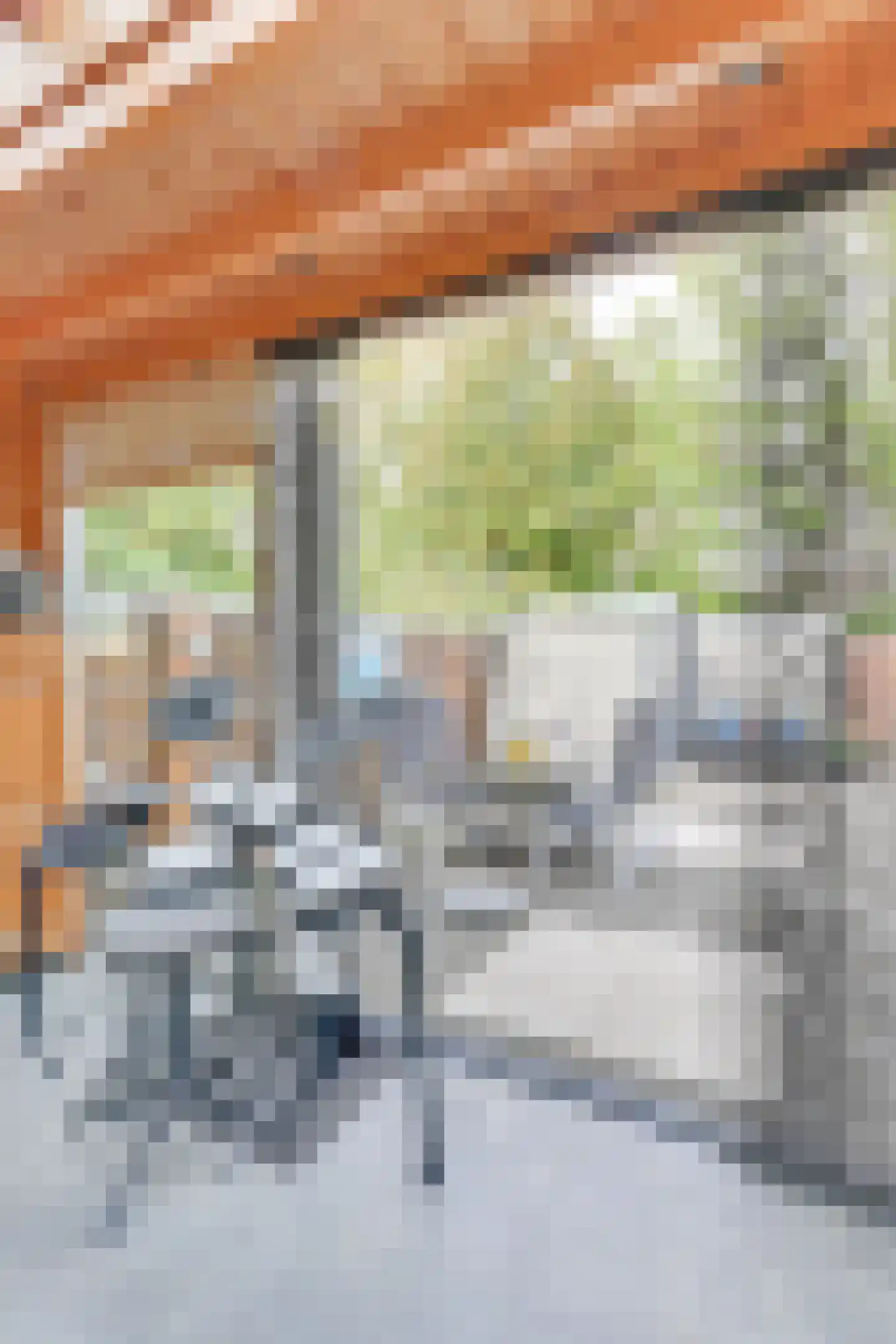 Gorterlaan 17 Heerhugowaard thumbnail 19