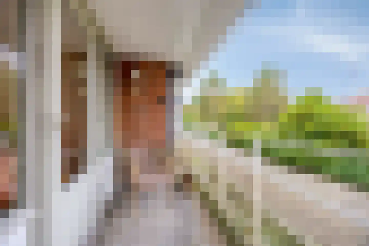 Gorterlaan 18 Groningen thumbnail 26