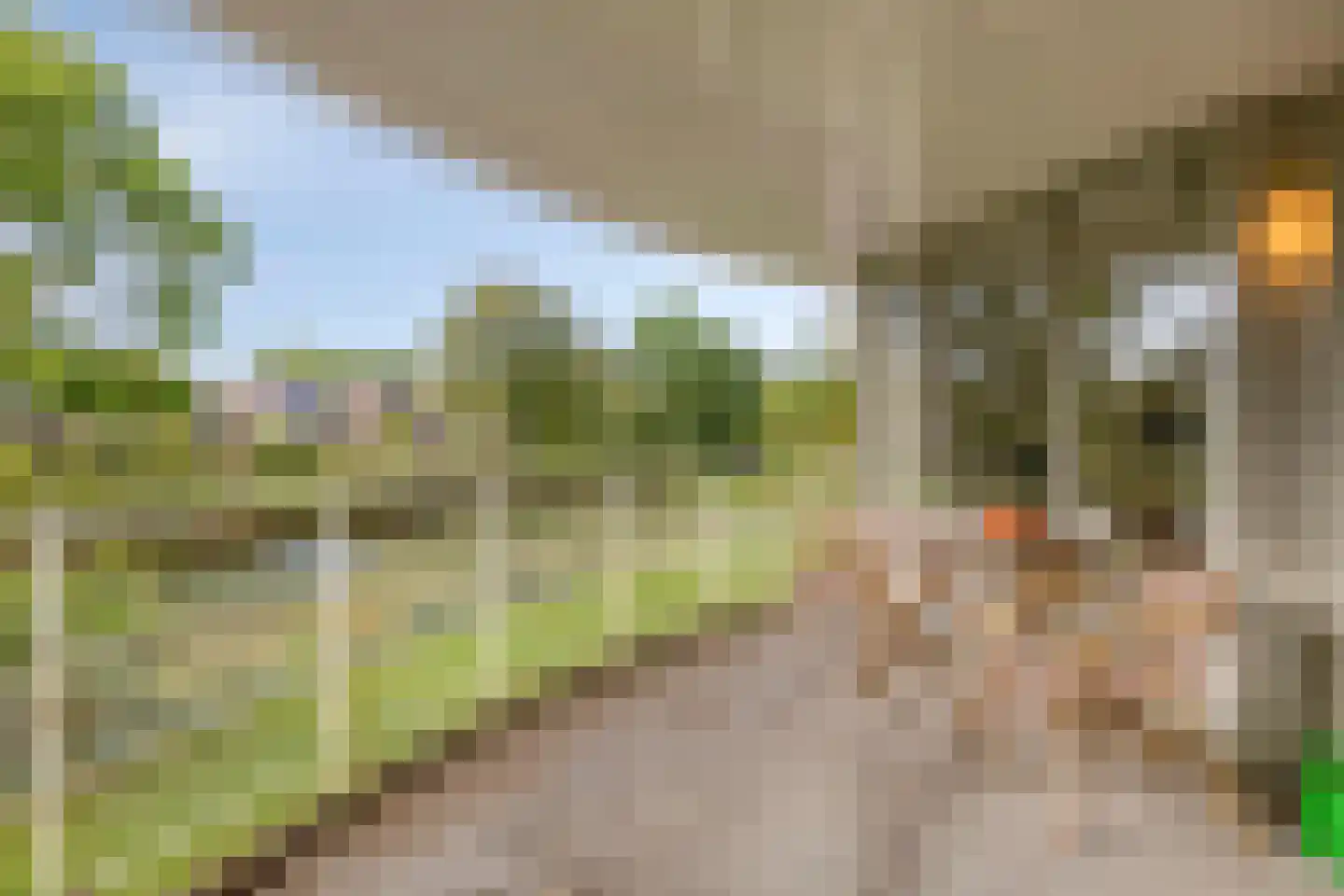 Gorterlaan 18 Groningen thumbnail 27