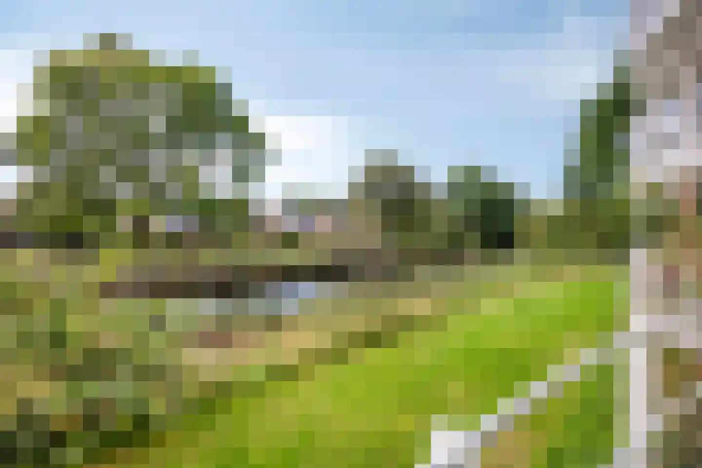 Gorterlaan 18 Groningen thumbnail 28