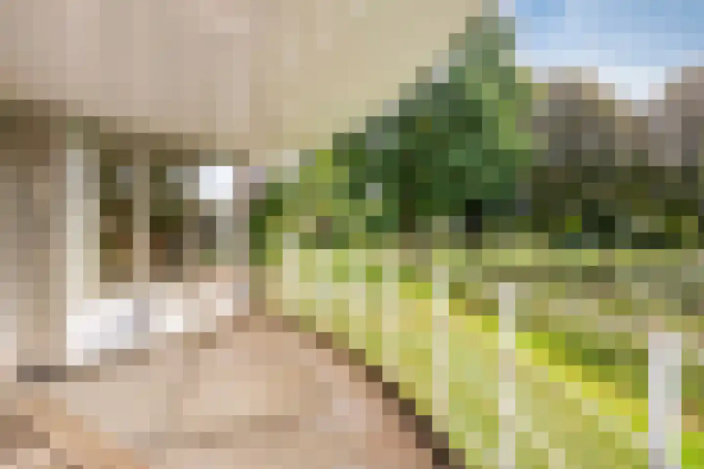 Gorterlaan 18 Groningen thumbnail 29