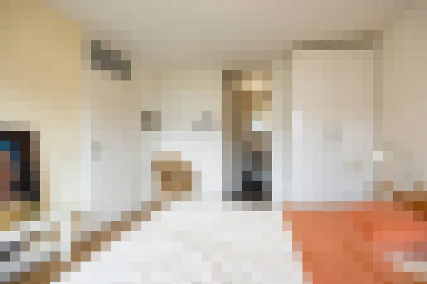 Gorterlaan 18 Groningen thumbnail 32