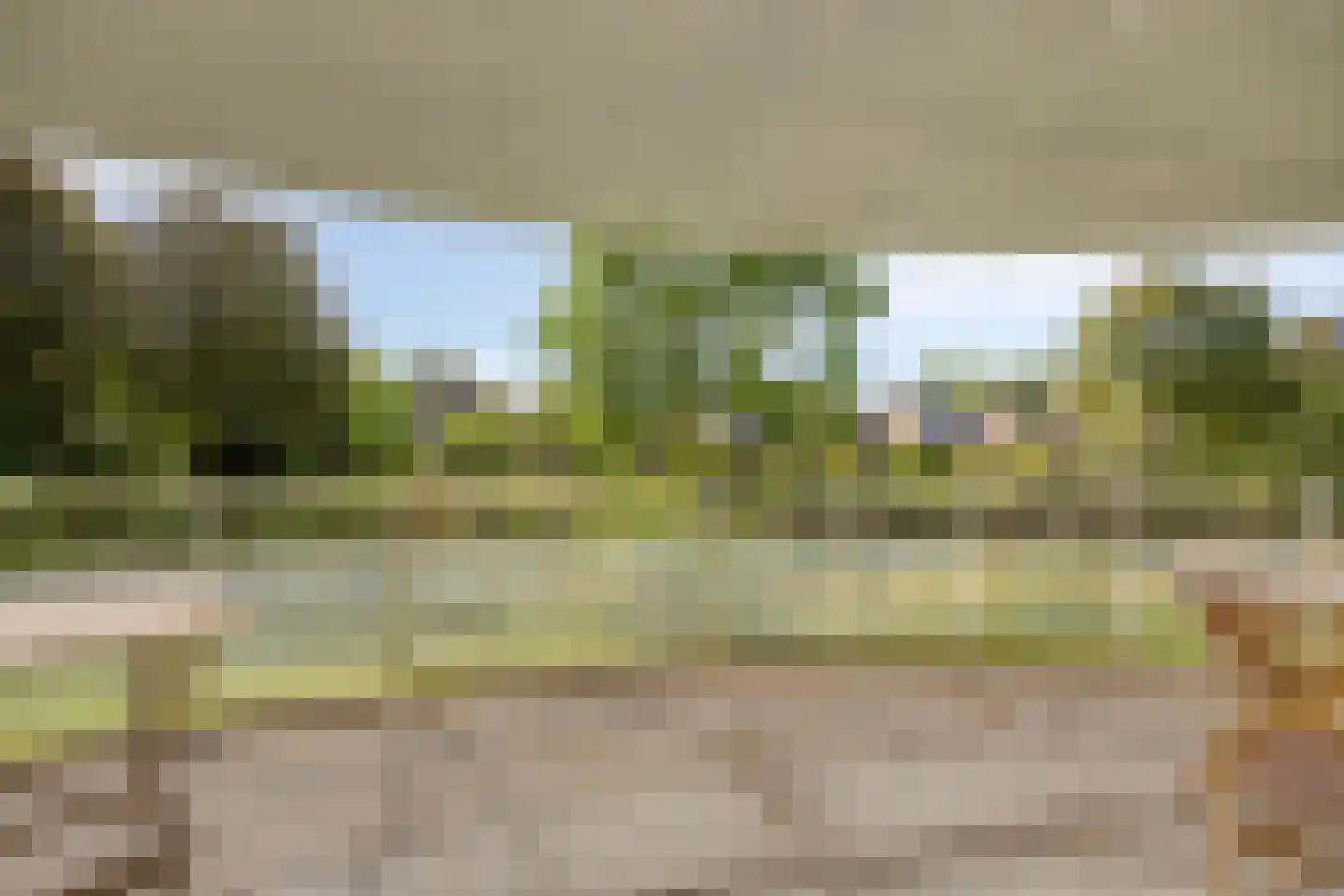 Gorterlaan 18 Groningen thumbnail 45