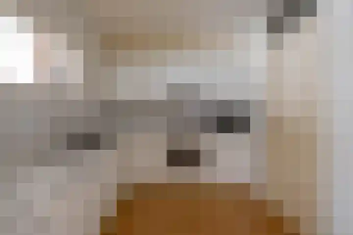 Gorterlaan 2 Groningen thumbnail 30
