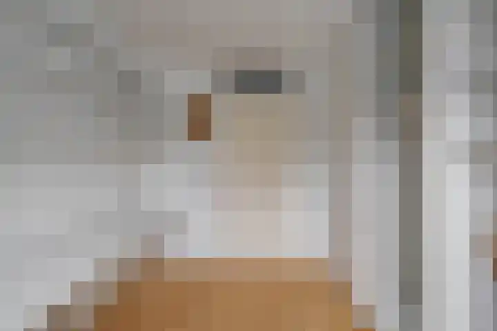 Gorterlaan 2 Groningen thumbnail 35