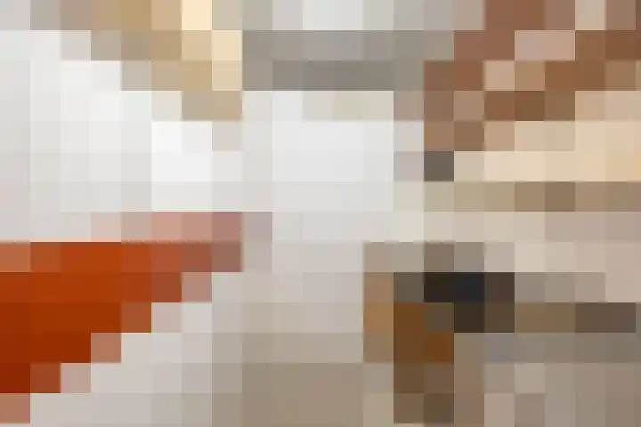 Gorterlaan 2 Groningen thumbnail 54