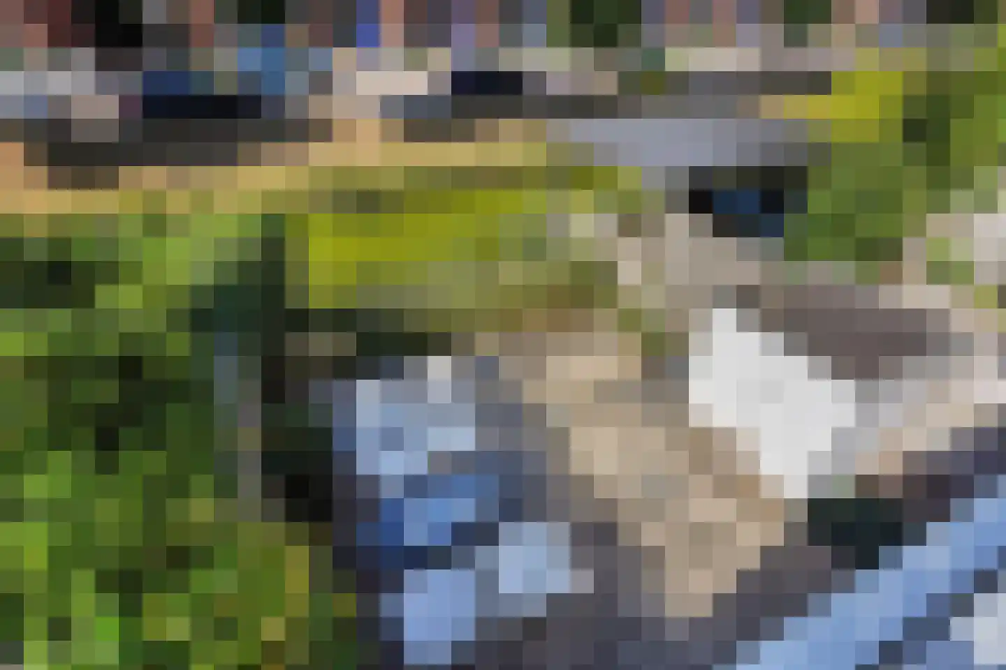 Gorterlaan 24 Bergschenhoek thumbnail 20