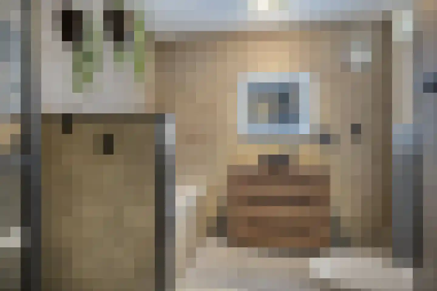 Gorterlaan 36 Bergschenhoek thumbnail 22