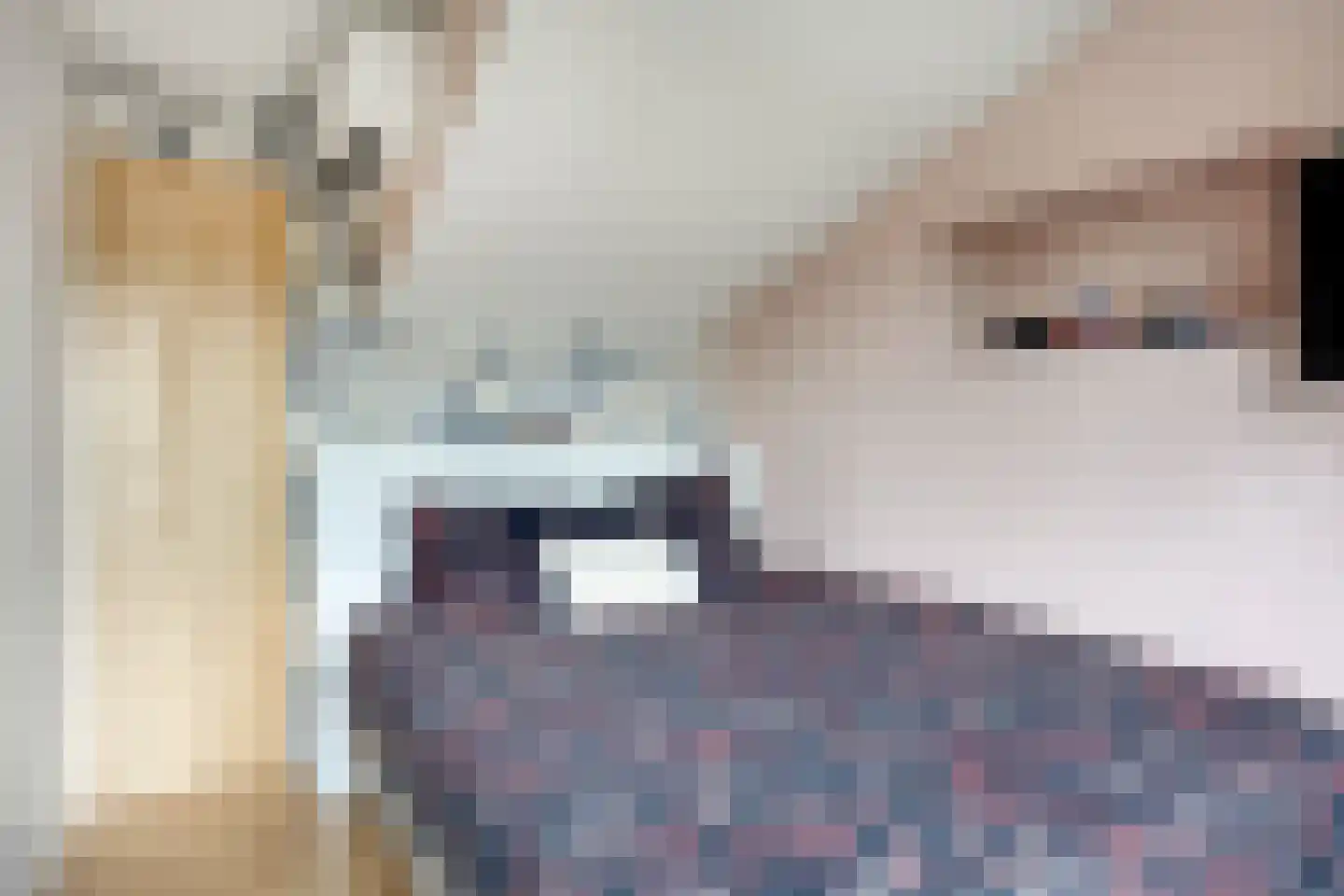 Gorterlaan 36 Bergschenhoek thumbnail 32