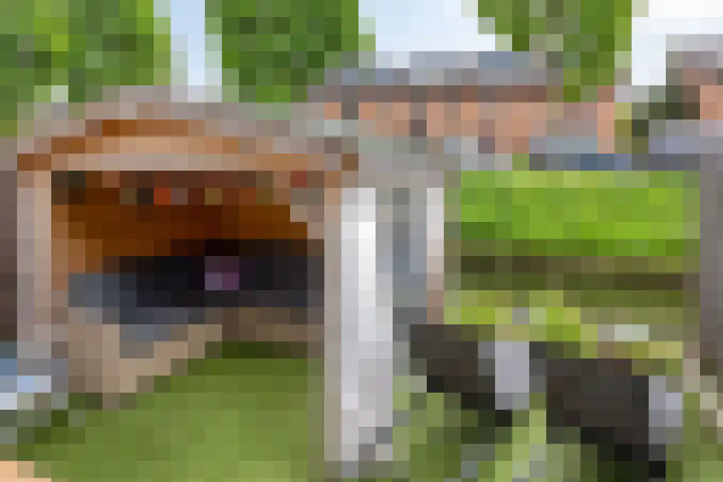Gorterlaan 36 Bergschenhoek thumbnail 38