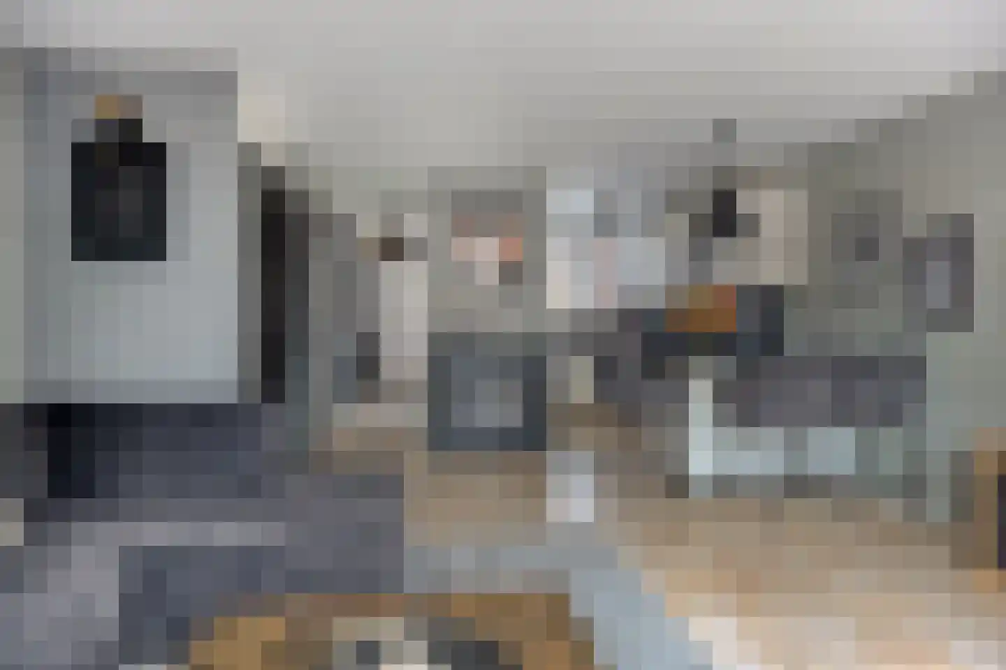 Gorterlaan 36 Bergschenhoek thumbnail 9