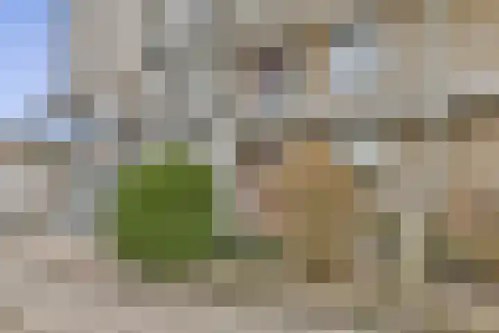 Gorterplaats 3 in Dordrecht