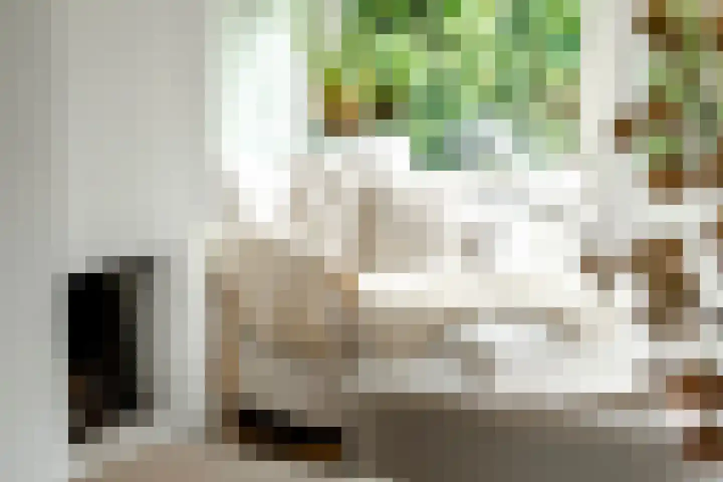 Gorterspad 7 Zaandijk thumbnail 17