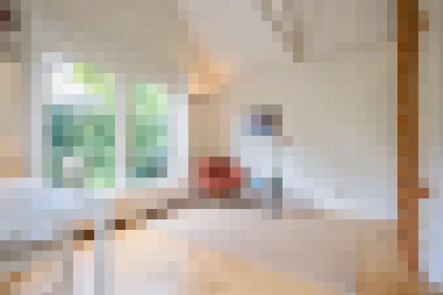 Gorterspad 7 Zaandijk thumbnail 22
