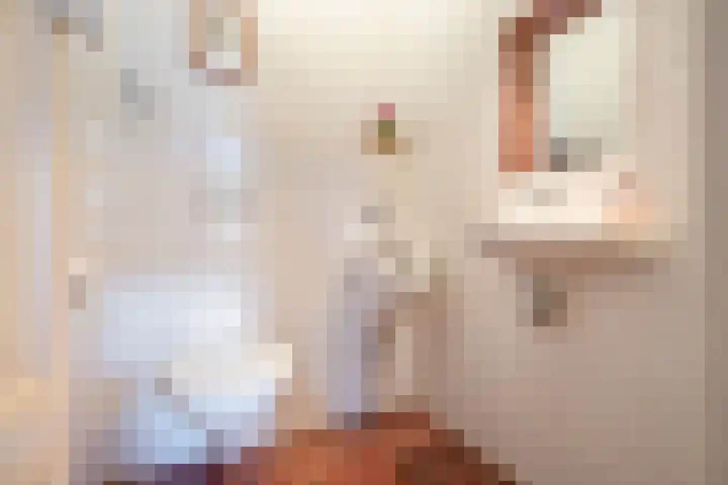 Gorterspad 7 Zaandijk thumbnail 34