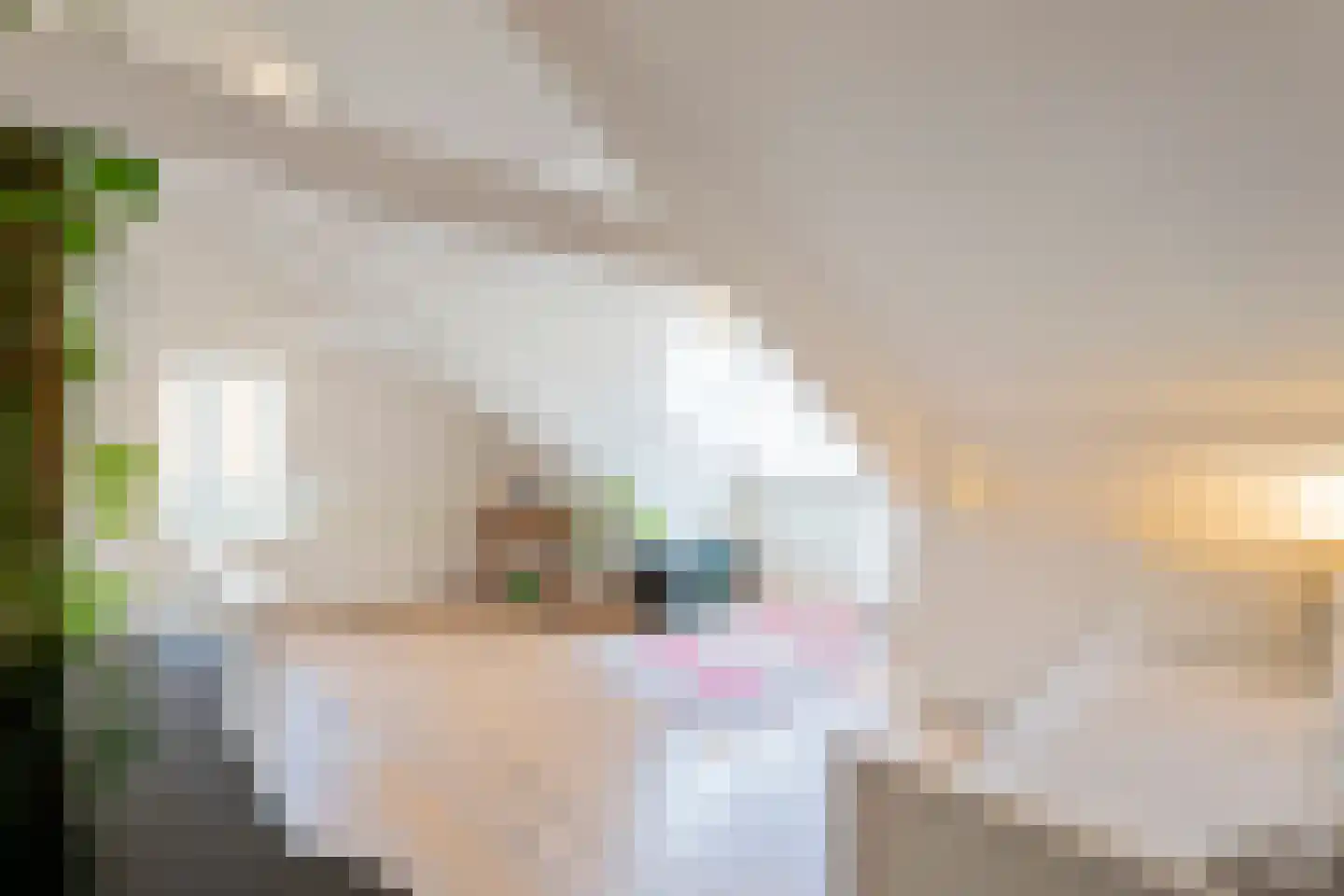 Gorterspad 7 Zaandijk thumbnail 50