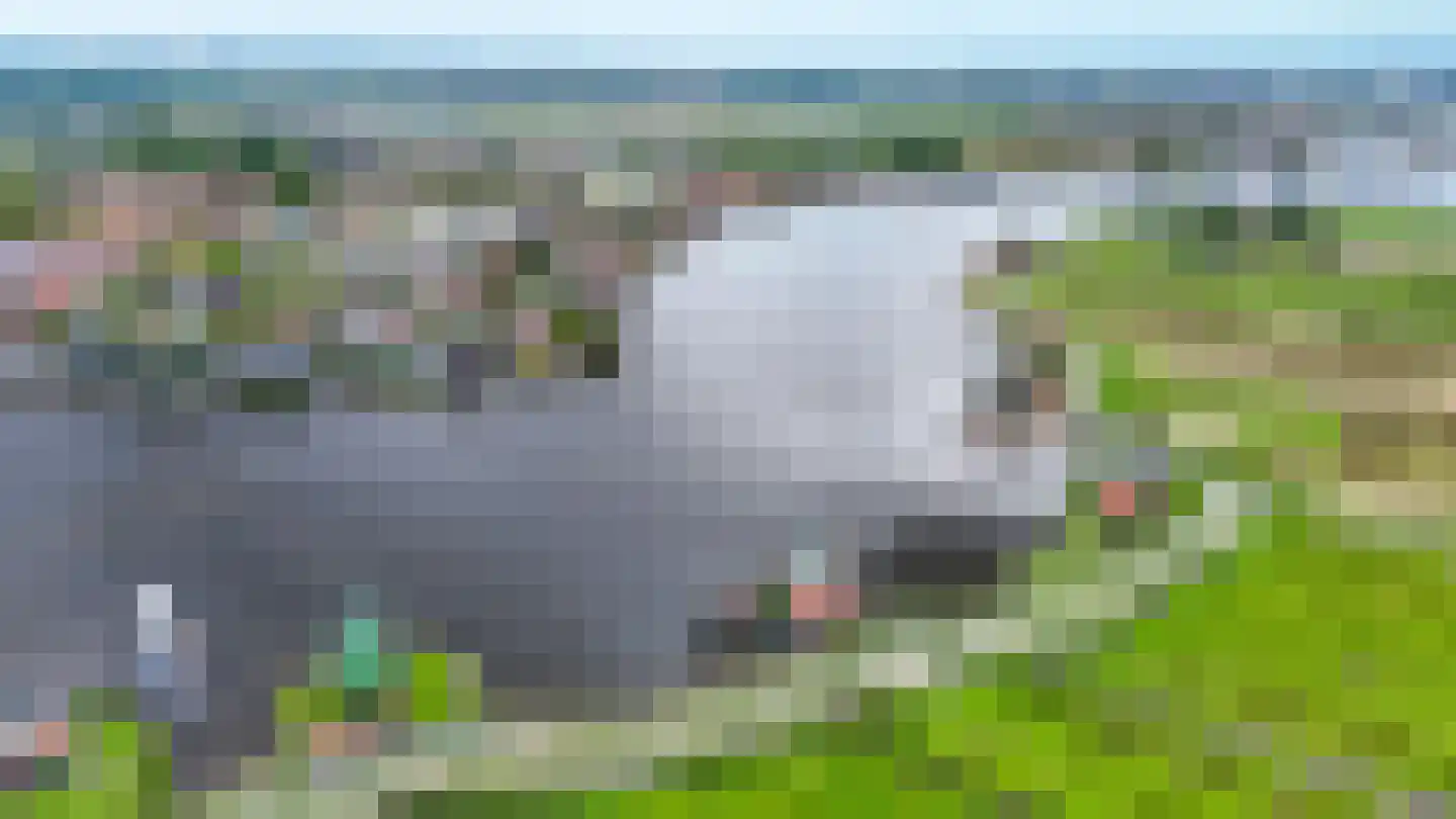 Gorterspad 7 Zaandijk thumbnail 58
