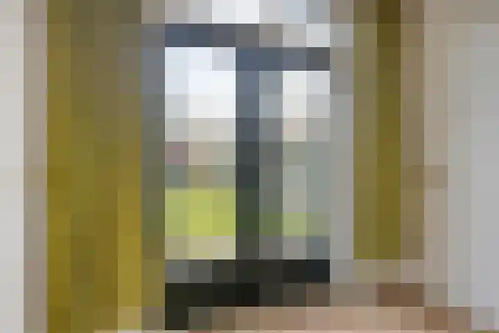 Gorterspad 9 Zaandijk thumbnail 13