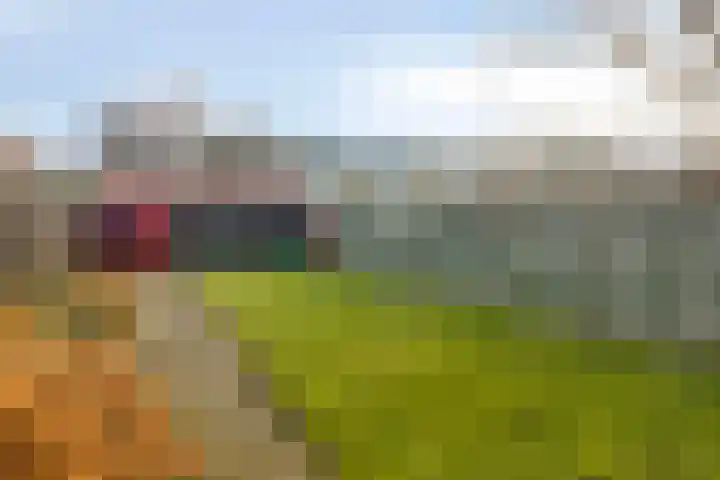 Gorterspad 9 Zaandijk thumbnail 14