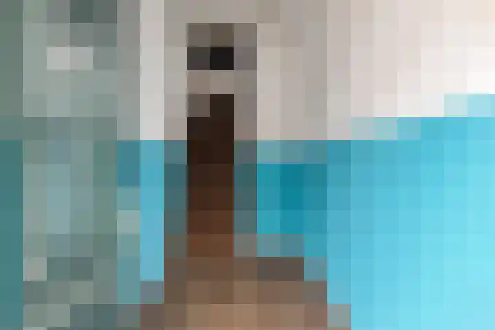 Gorterspad 9 Zaandijk thumbnail 19