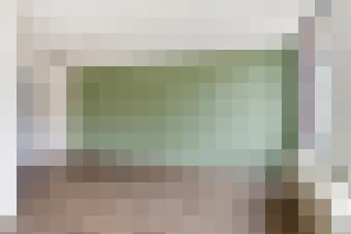 Gorterspad 9 Zaandijk thumbnail 26