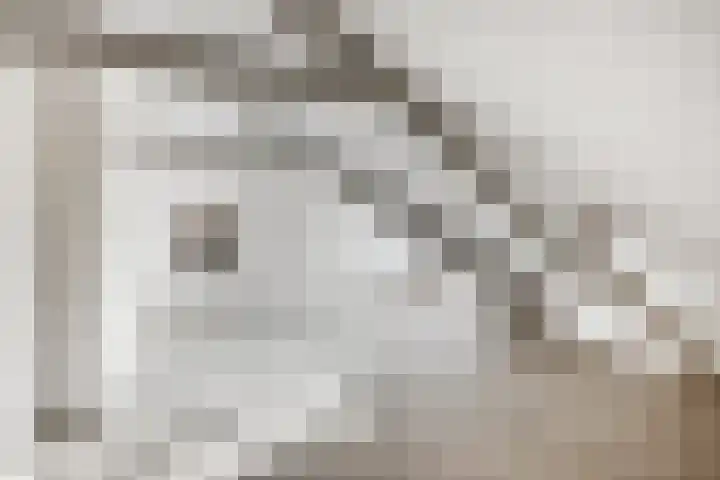 Gorterspad 9 Zaandijk thumbnail 34