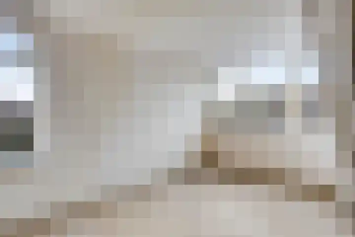 Gorterspad 9 Zaandijk thumbnail 37