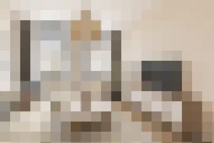Gorterspad 9 Zaandijk thumbnail 4