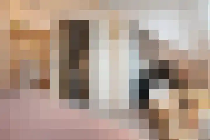 Gorterstraat 25 Zwolle thumbnail 32