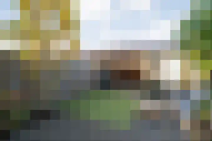 Gorterstraat 31 Zwolle thumbnail 37