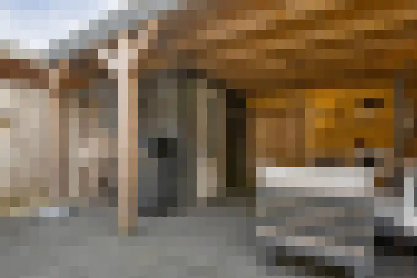 Gorterstraat 34 Zwolle thumbnail 41