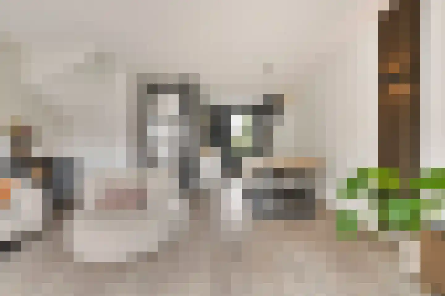 Gorterstraat 64 Zwolle thumbnail 13