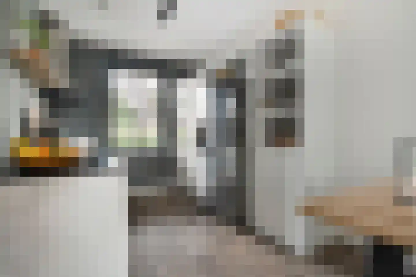 Gorterstraat 64 Zwolle thumbnail 15