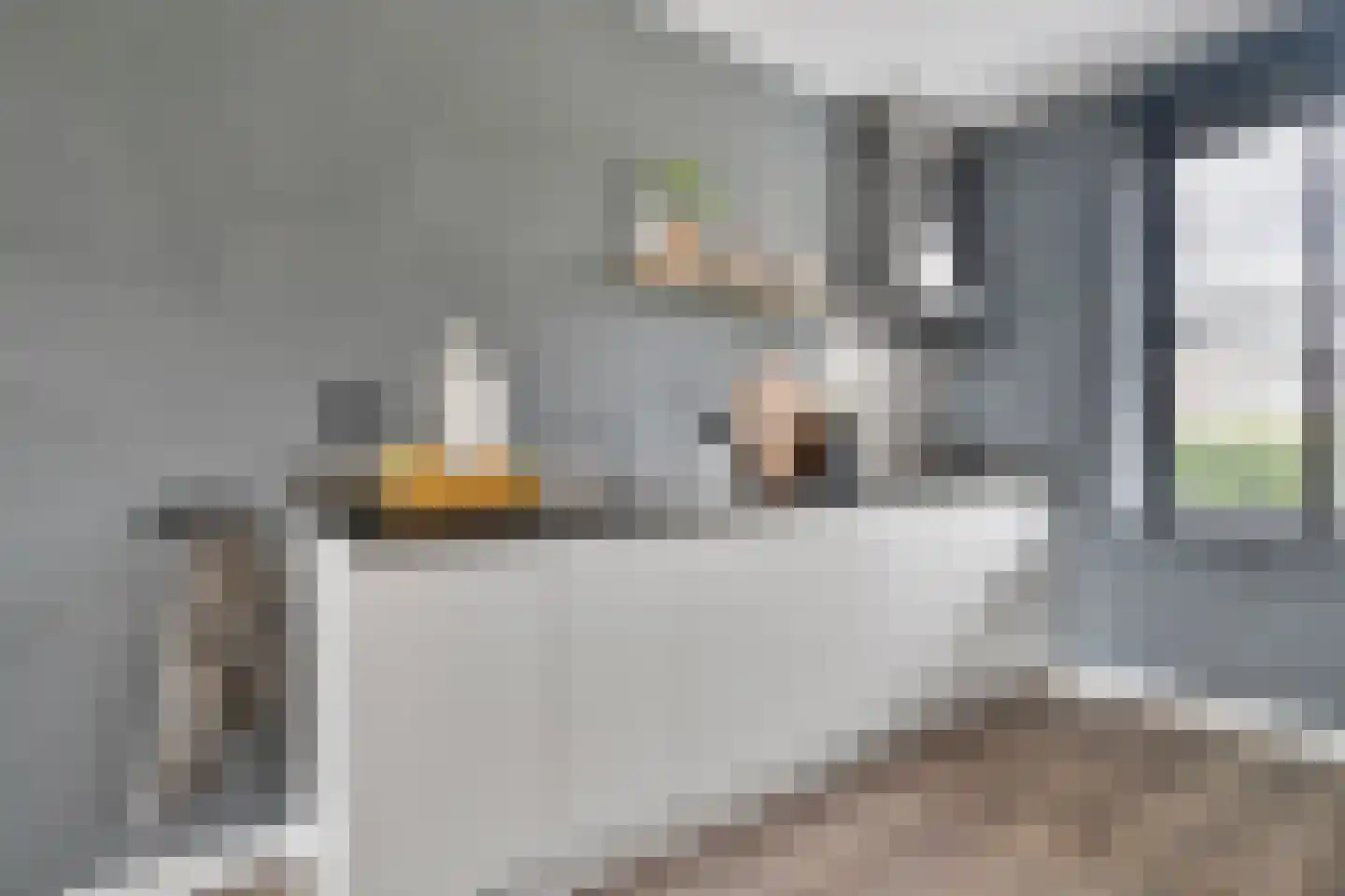 Gorterstraat 64 Zwolle thumbnail 16