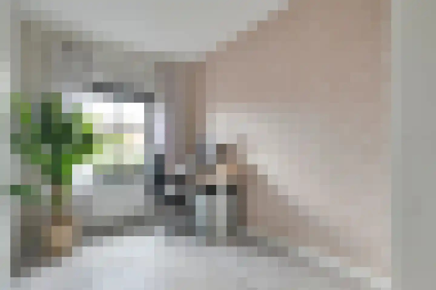 Gorterstraat 64 Zwolle thumbnail 25