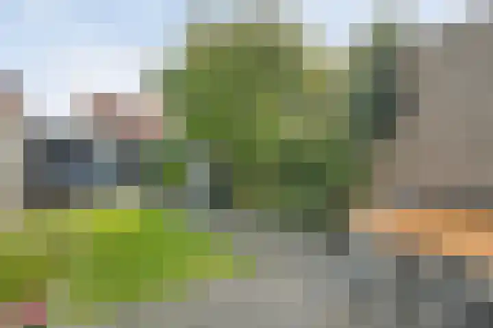 Gorterstraat 64 Zwolle thumbnail 36