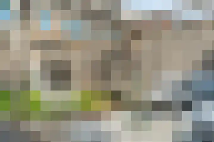 Gorterstraat 64 Zwolle thumbnail 38