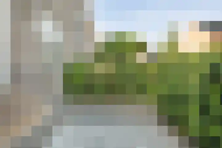 Gorterstraat 64 Zwolle thumbnail 4