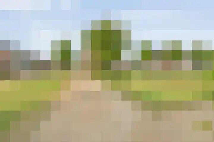 Gorterstraat 64 Zwolle thumbnail 41