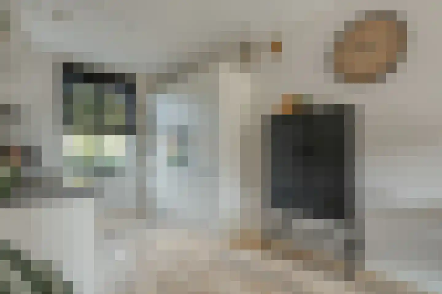 Gorterstraat 66 Zwolle thumbnail 16