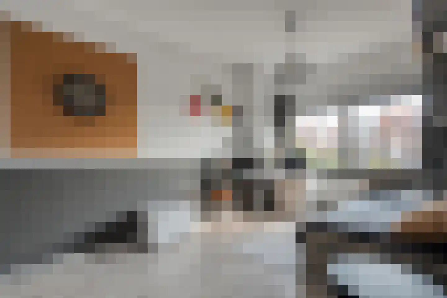 Gorterstraat 66 Zwolle thumbnail 22