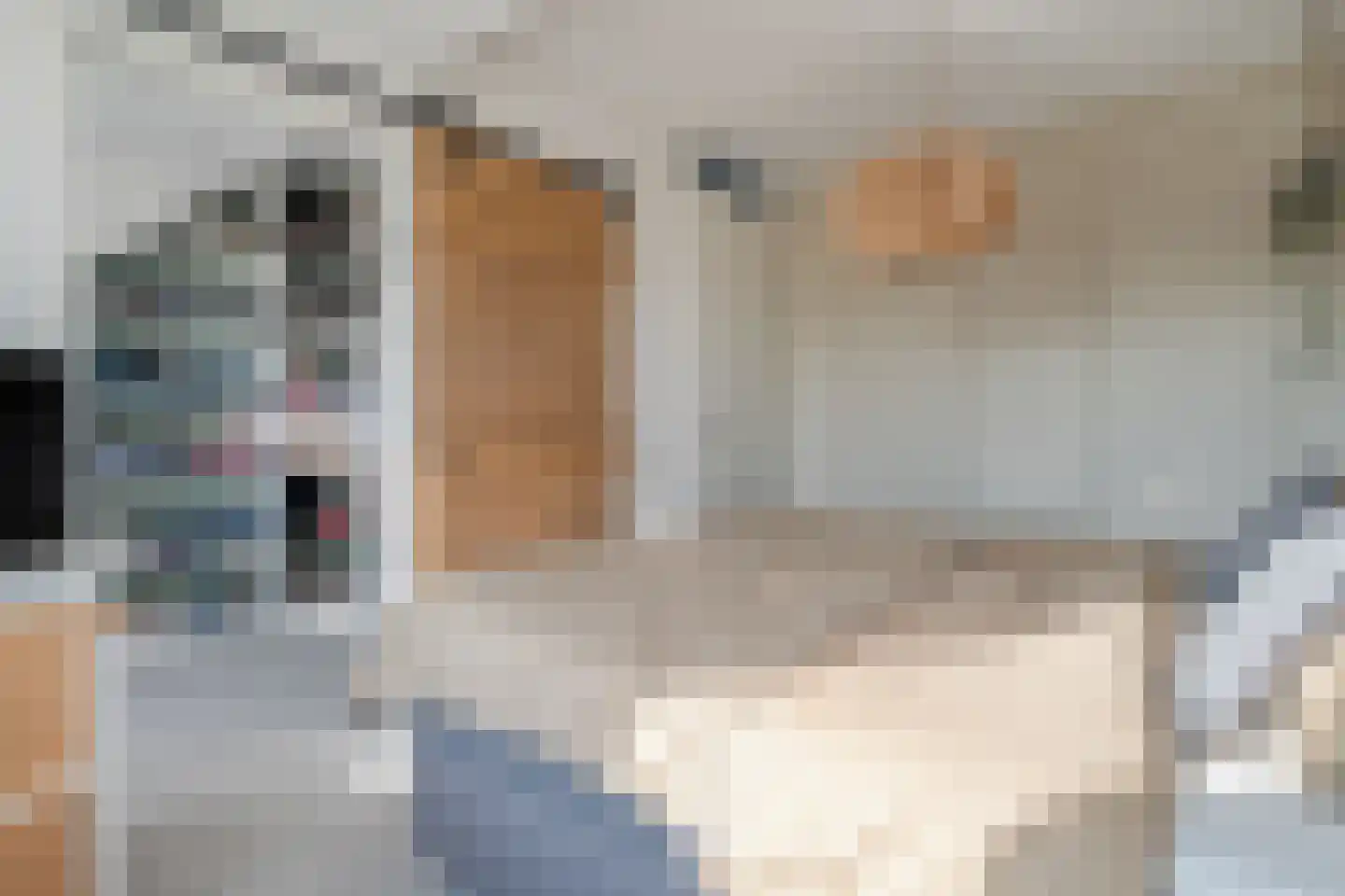 Gorterstraat 66 Zwolle thumbnail 27